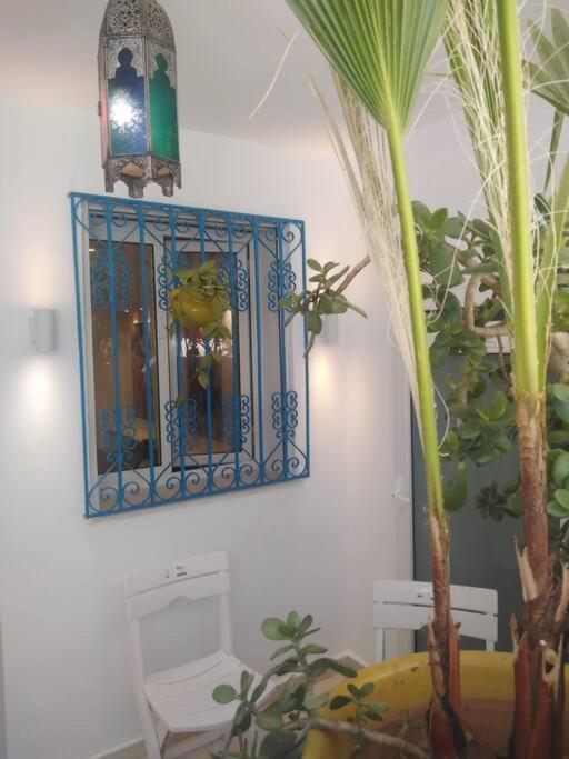 Cosy Appartement In "Sidi Bou Said" Dış mekan fotoğraf