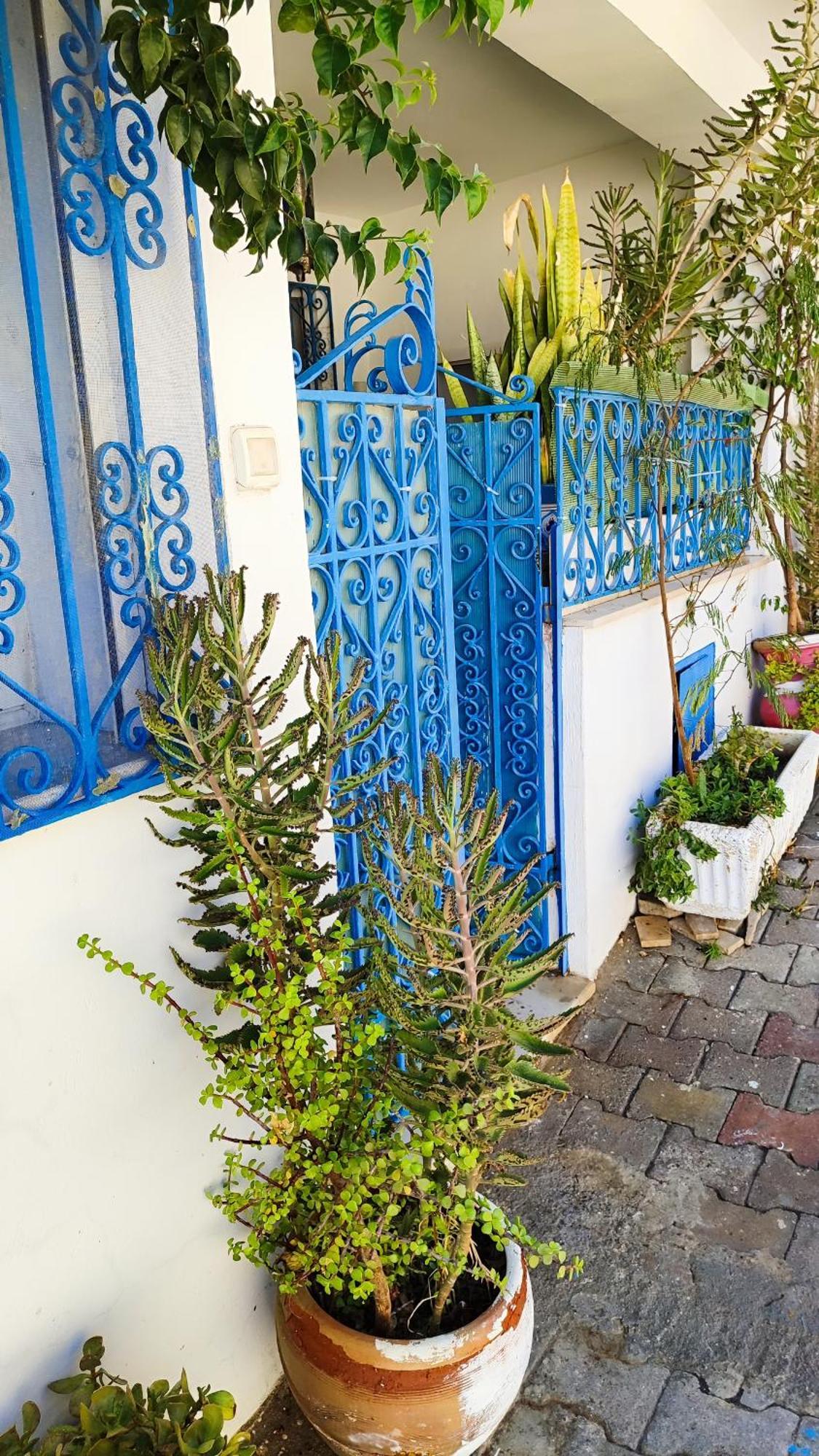 Cosy Appartement In "Sidi Bou Said" Dış mekan fotoğraf